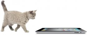 Friskies — игры для кошек на iPad [Update]