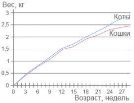 Кривая роста рост котят