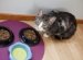 How To Feed A Cat